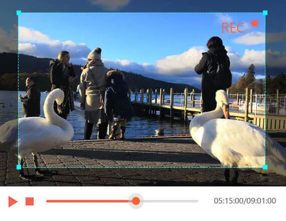 Aiseesoft Screen Recorder screenshot 1