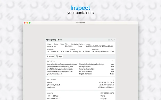 WhaleDeck thumbnail 4