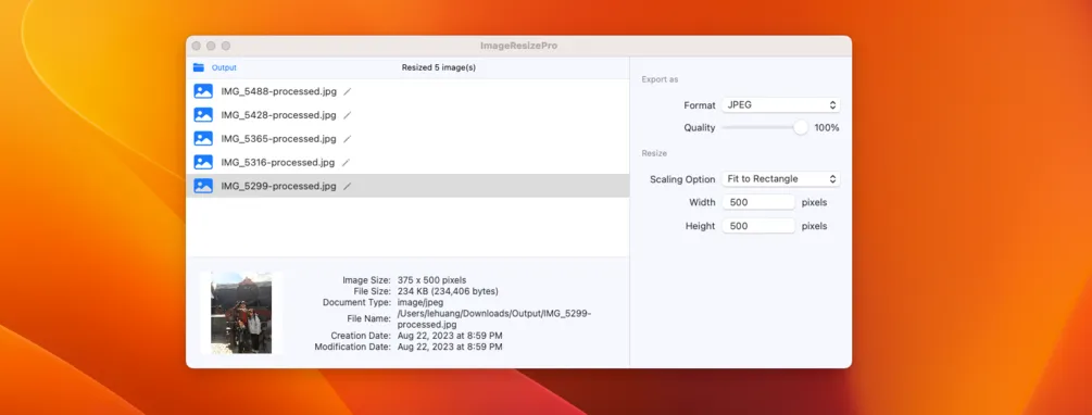 ResizeGenius screenshot 1