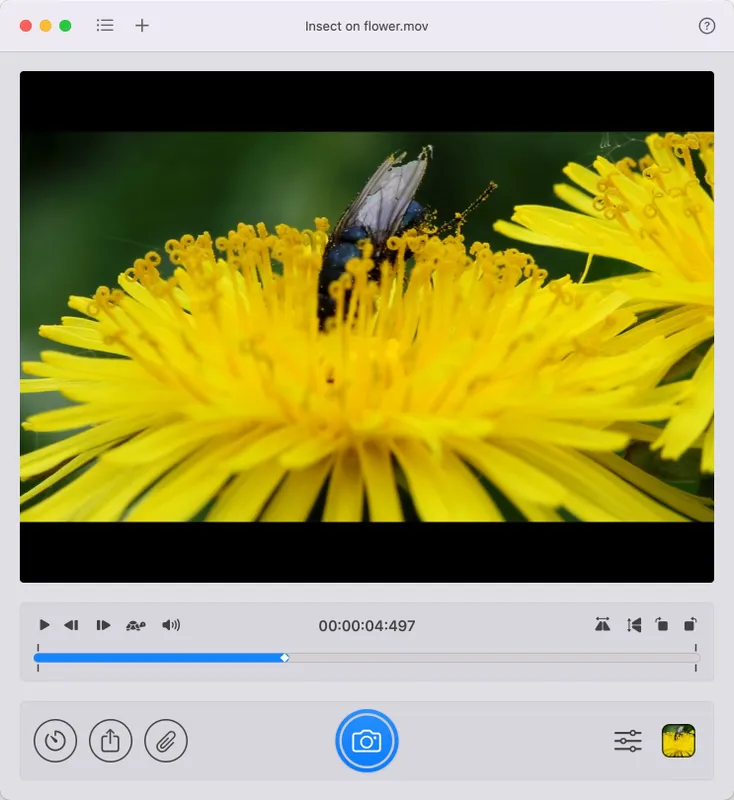 SnapMotion thumbnail 3